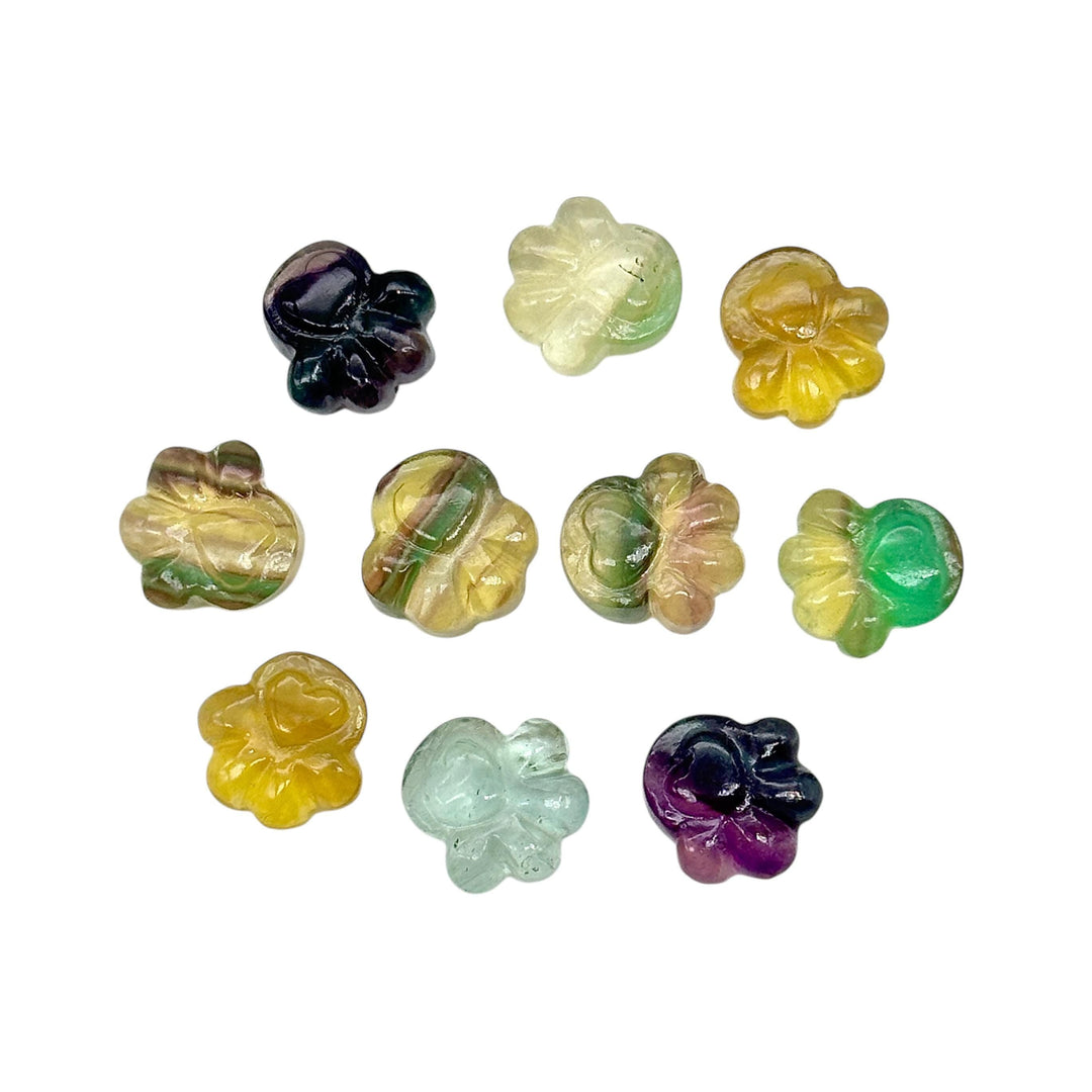 AAA+ Quality Rainbow Fluorite Hand Carved Dog Paw, Gemstone Paw Carving, 13 MM Paw Charm, Dog Cute Paws for Jewelry, Dog Jewelry Beads