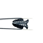 Load image into Gallery viewer, Natural Black Onyx Carved Fish Shape Gemstone, Hand Carved Fish Shape Gemstone, Jewelry Making Gemstones, 17X26 MM, Blue Fish Charm Pendant