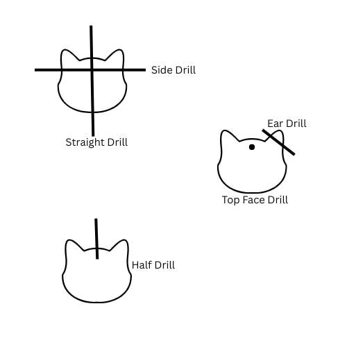 Black Onyx Cat Face Carving, Cat Shape Carved Gemstone Briolette's, Handmade Cat Head Beads, 15 MM, Black Evil Cat Protection