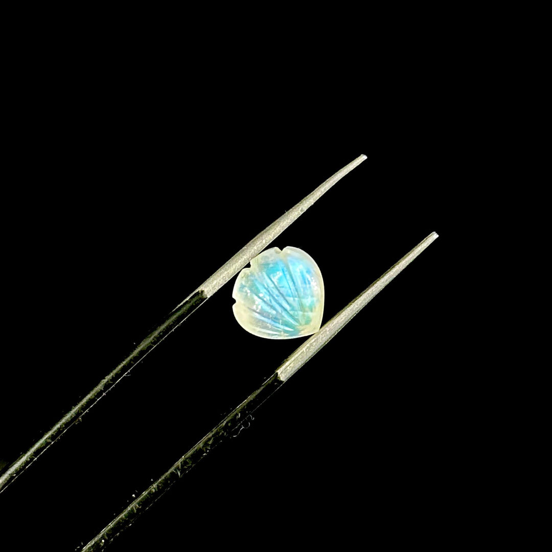 AAA+ Quality Rainbow Moonstone Shell Shape Beads, 8 MM Hand Carved Flashy Seashells, Carved Beads, Shell Charms, Jewelry and Craft Making