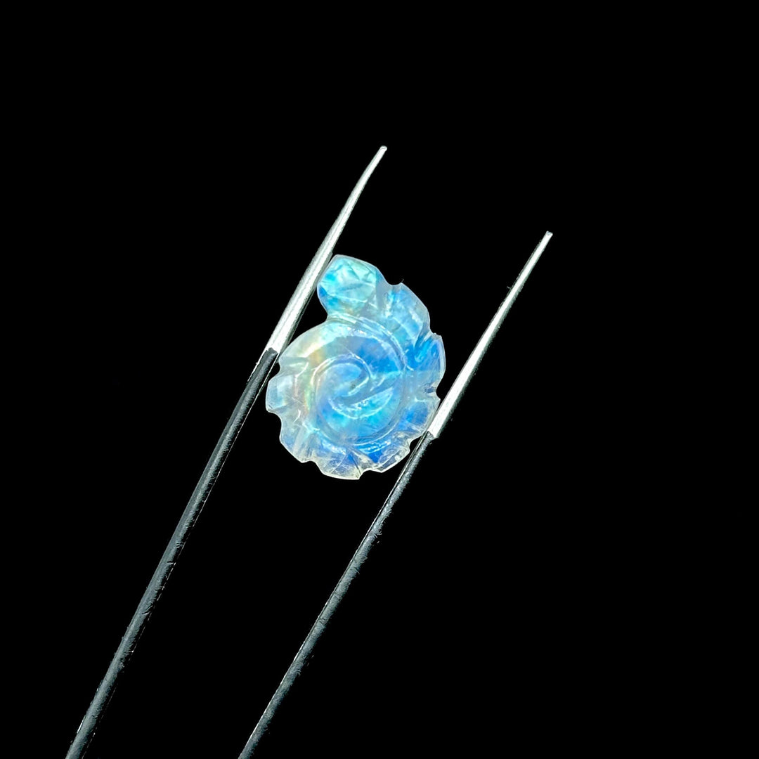 AAA+ Natural Rainbow Moonstone Carved Shell Beads, Hand Carved Snail Shell Shape Gemstone, 16 MM Flashy White Seashell Charms For Jewelry