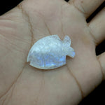 Load image into Gallery viewer, Carved Rainbow Moonstone Fish: Handmade Gemstone Briolette (22x33mm