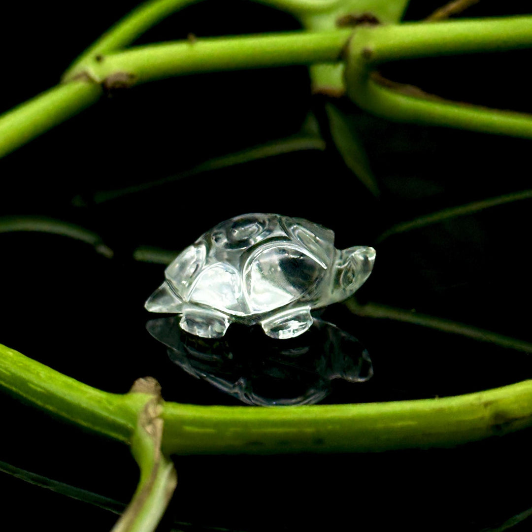 Natural Crytal Quartz Turtle Shape Gemstone Carving, 17X25 MM Minimalist Turtle Carving for Jewelry, Handmade Harmony Gemstone Beads Carving