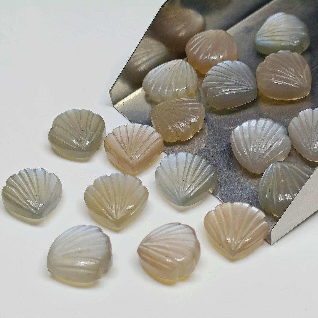 Natural Grey Moonstone Sea Shell Shape Beads, Hand Carved Shell Briolette's, Shell Carving Gemstones For Jewelry 12 mm, Shell Charms Beads