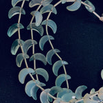 Load image into Gallery viewer, AAA Aqua Chalcedony Moon Shape Briolettes, Faceted Aqua Chalcedony Carved Moon Gemstones Beads, 12 MM Cresent Moon Beads, Blue Moon Charm