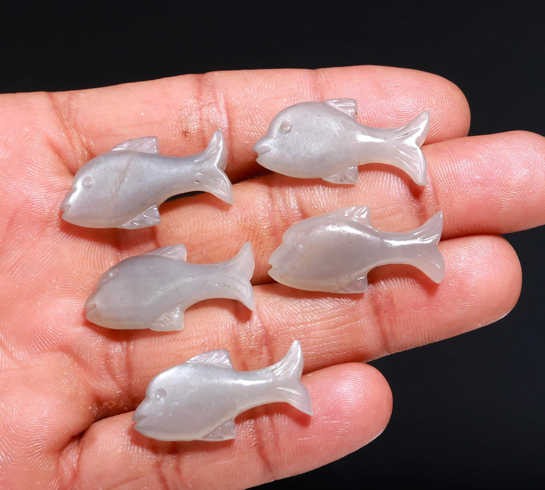 Gray Moonstone Dolphin Shape Carving, Natural Moonstone Fish Shape Beads, Jewelry Making Fish Charms, 28 MM, Loose Sea Carved Stone