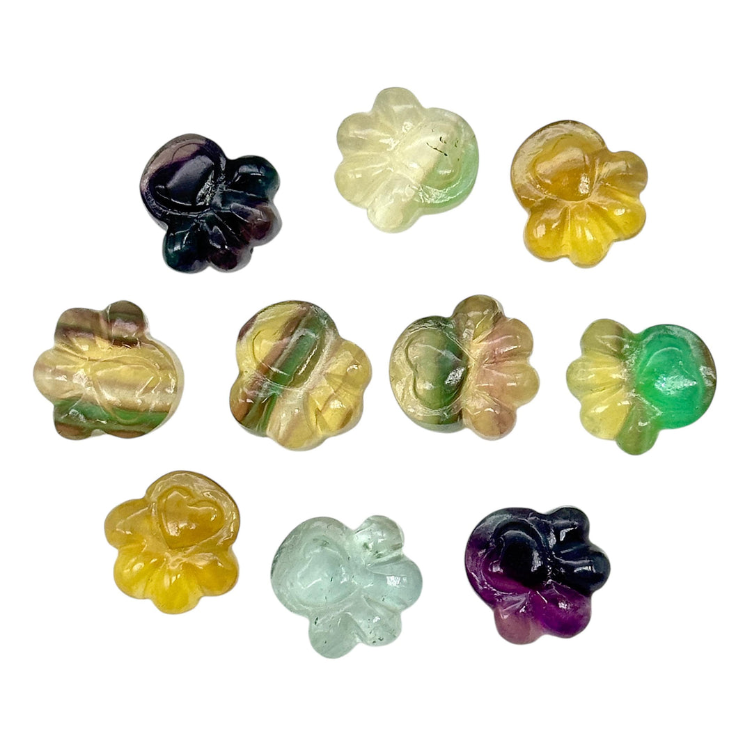 AAA+ Quality Rainbow Fluorite Hand Carved Dog Paw, Gemstone Paw Carving, 13 MM Paw Charm, Dog Cute Paws for Jewelry, Dog Jewelry Beads