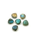 Load image into Gallery viewer, Cute Tiny Labradorite Shell Shape Beads, 8 MM Hand Carved Flashy Seashell, Tiny Carved Beads, Shell Charms, Jewelry &amp; Craft Making Gemstones