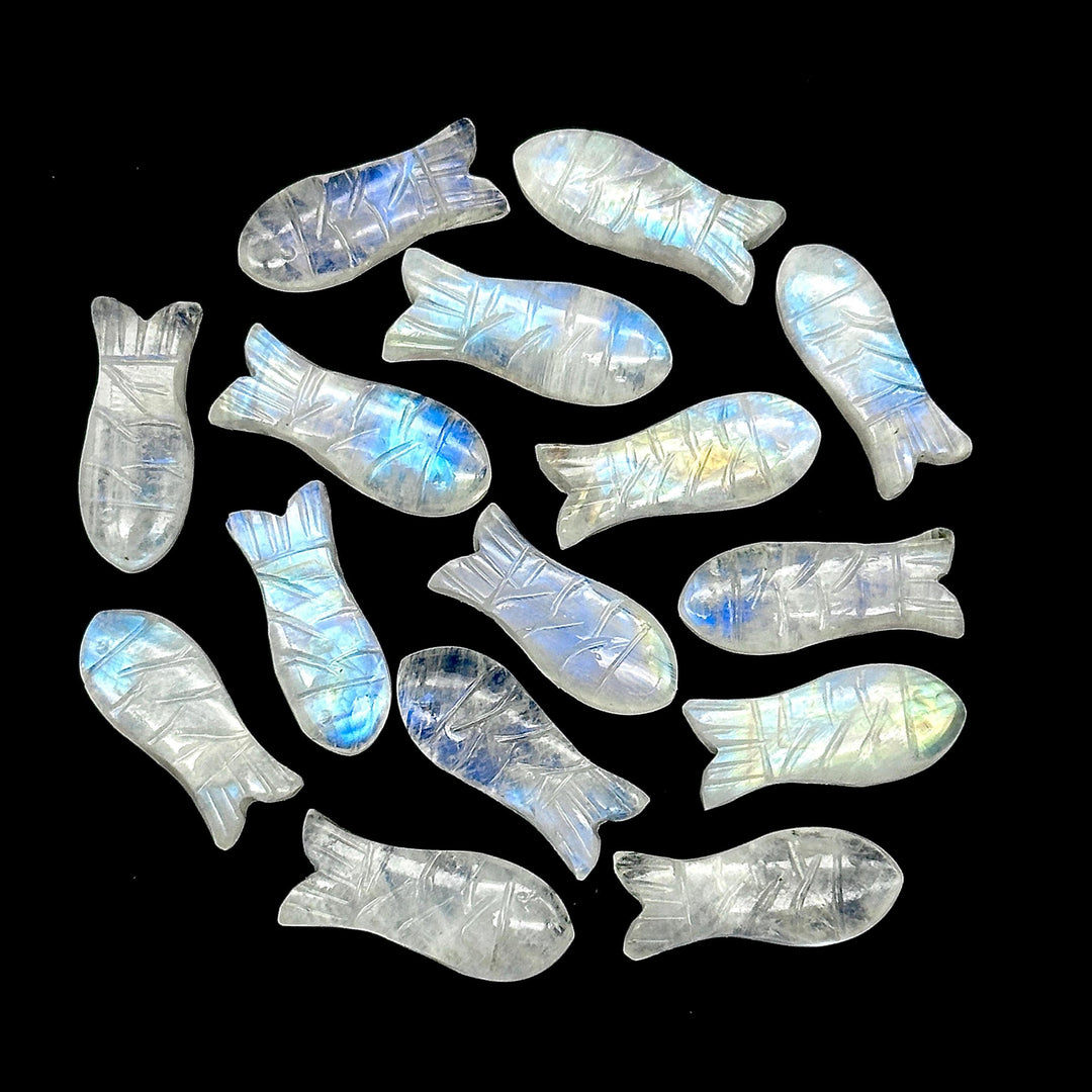 Rainbow Moonstone Fish Carving: Hand Carved Briolette Charm (8x20 MM