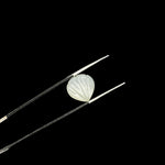 Load image into Gallery viewer, White Moonstone Shell Shape Beads, Natural Moonstone Shell Briolette's, Shell Carving Gemstones For Jewelry 12 mm, Sea Shell Beach Beads