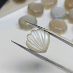 Load image into Gallery viewer, Natural Grey Moonstone Sea Shell Shape Beads, Hand Carved Shell Briolette's, Shell Carving Gemstones For Jewelry 12 mm, Shell Charms Beads