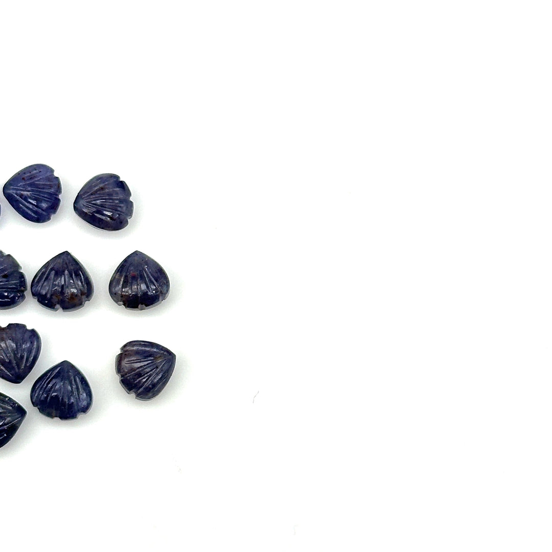 AAA+ Natural Iolite Shell Shape Beads, 8 MM Hand Carved Seashells, Tiny Carved Beads, Shell Charms, Jewelry and Craft Making