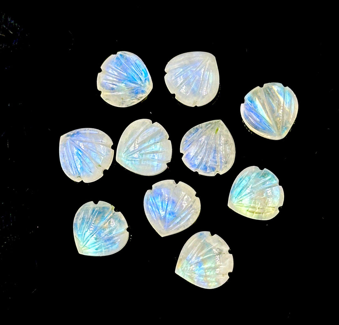 AAA+ Quality Rainbow Moonstone Shell Shape Beads, 8 MM Hand Carved Flashy Seashells, Carved Beads, Shell Charms, Jewelry and Craft Making